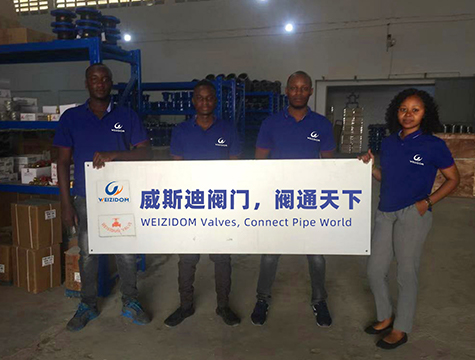 WEIZIDOM Tanzania brand