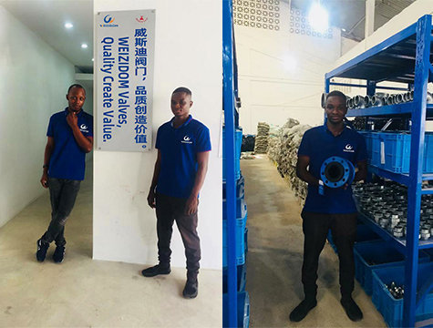 WEIZIDOM Tanzania brand