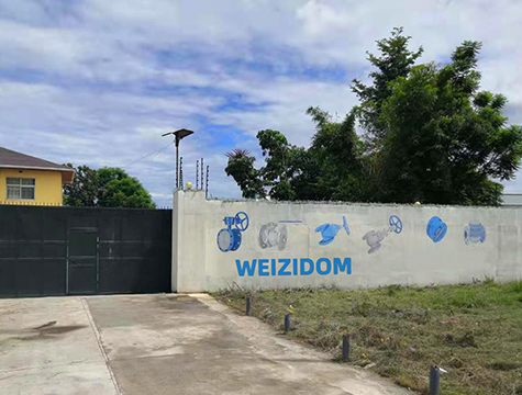 WEIZIDOM Zambia brand
