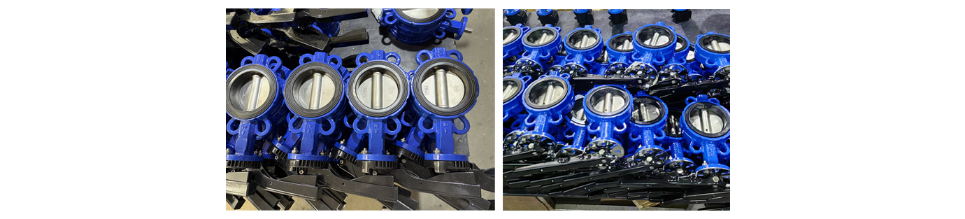 butterfly Valve WEIZIDOM1