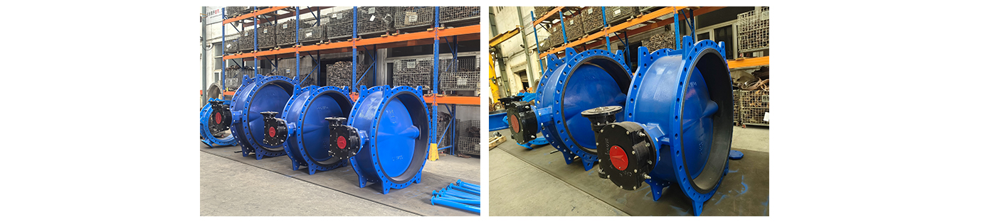 butterfly Valve WEIZIDOM2