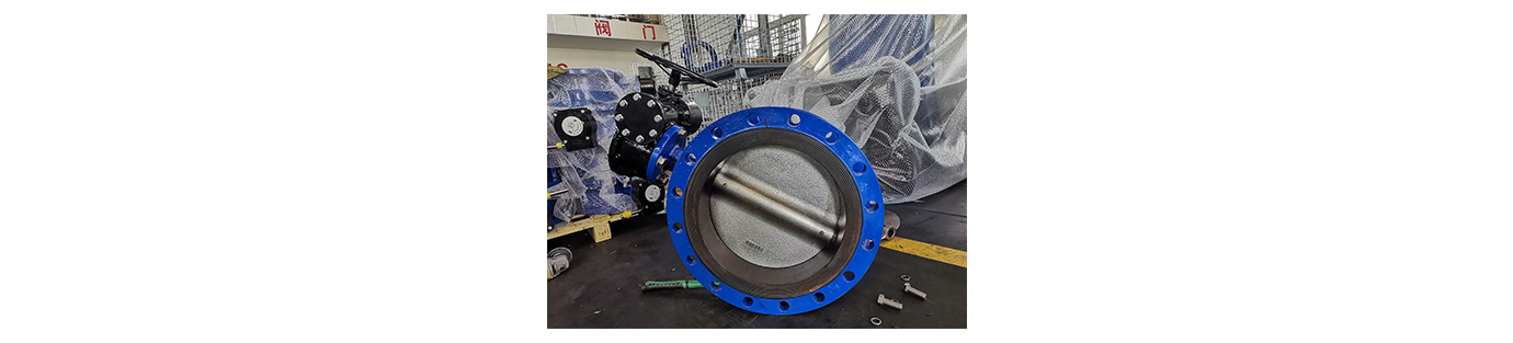 butterfly Valve WEIZIDOM3