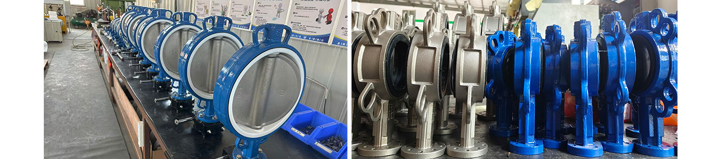 butterfly-valve