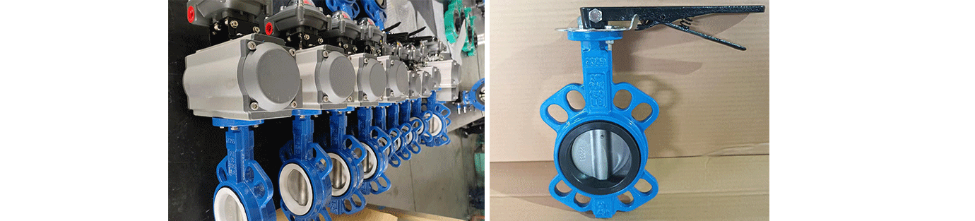 butterfly-valve