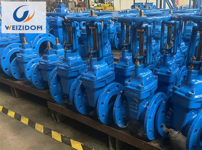 Gate Valve Won’t Rise? Common Causes and Repair Guide