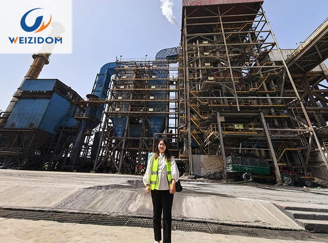 ⑩ PAKISTAN PAPER MILL PROJECT