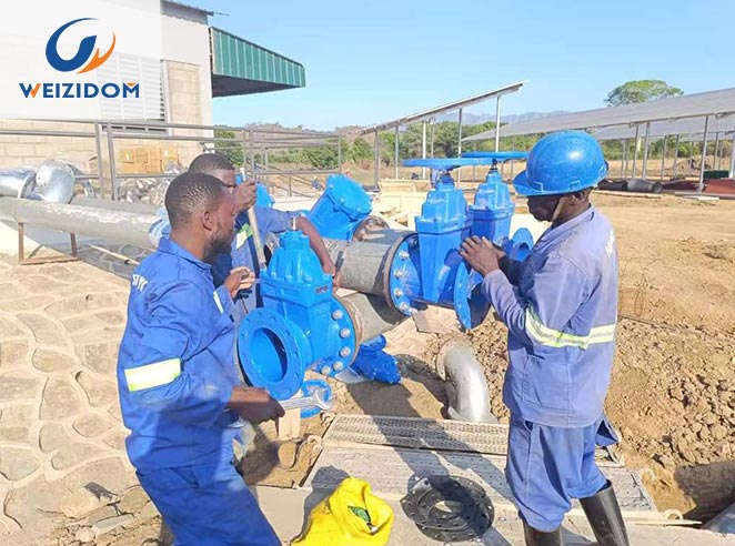 ④ MALAWI IRRIGATION PROJECT