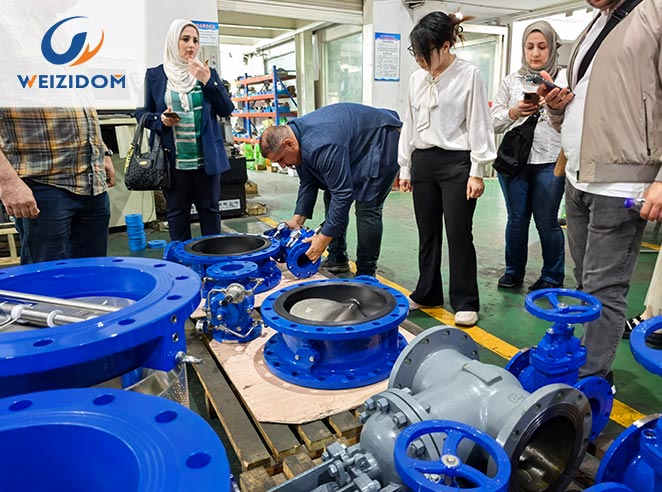 ⑤ IRAQ ALQOASH WATER PROJECT