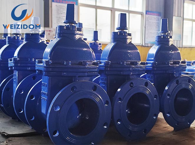 What Seawater Desalination Valves Does WEIZIDOM Offer?