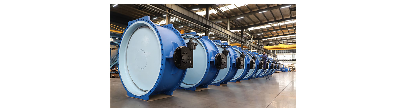 Double Eccentric Butterfly Valve