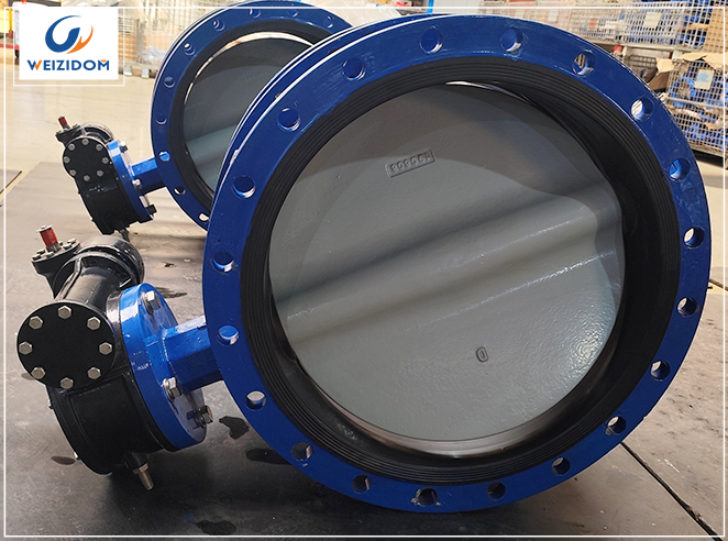 What Is a Single Flange Butterfly Valve