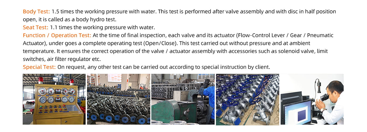 weizidom globe valve