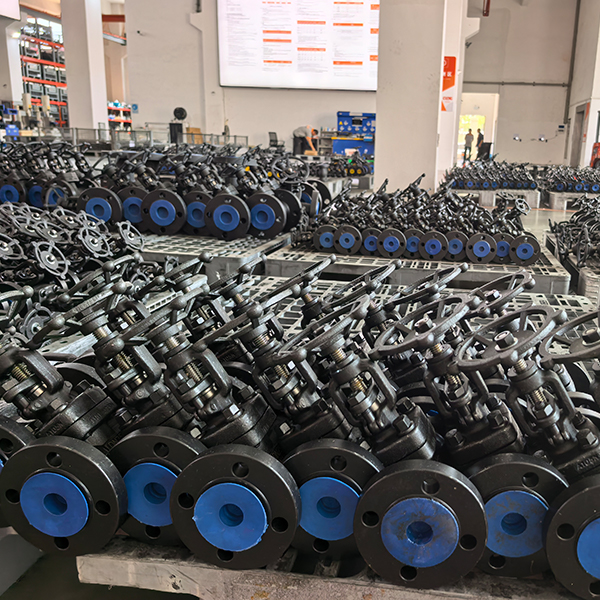 weizidom globe valve