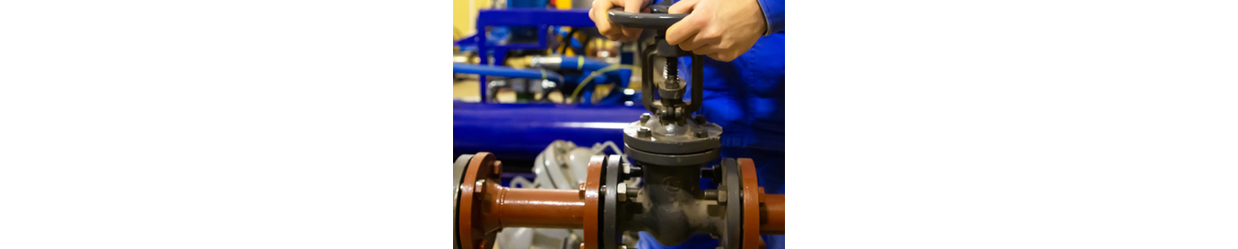 Maintenance Guide for the Heart Valve of Piping Systems