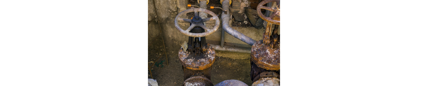 Maintenance Guide for the Heart Valve of Piping Systems